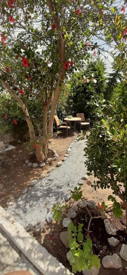 Yialos Studios-Apartments Makrýgialos المظهر الخارجي الصورة